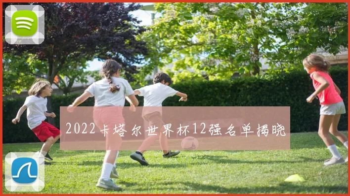 2022卡塔尔世界杯12强名单揭晓