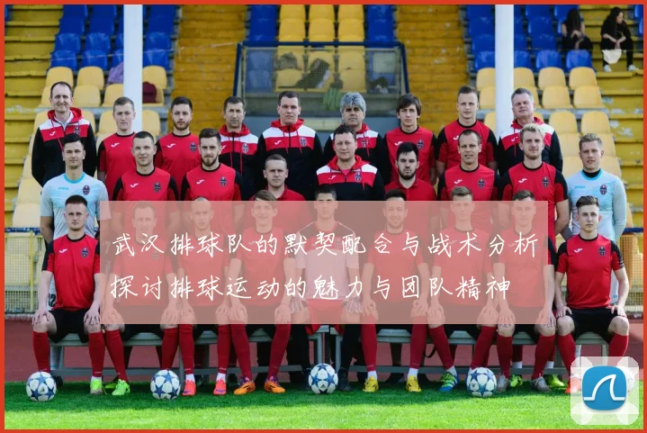 武汉排球队的默契配合与战术分析探讨排球运动的魅力与团队精神