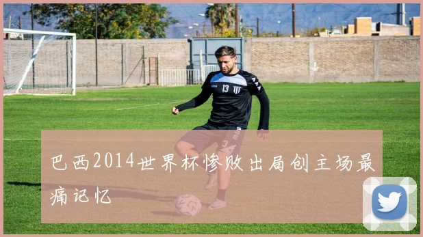 巴西2014世界杯惨败出局创主场最痛记忆