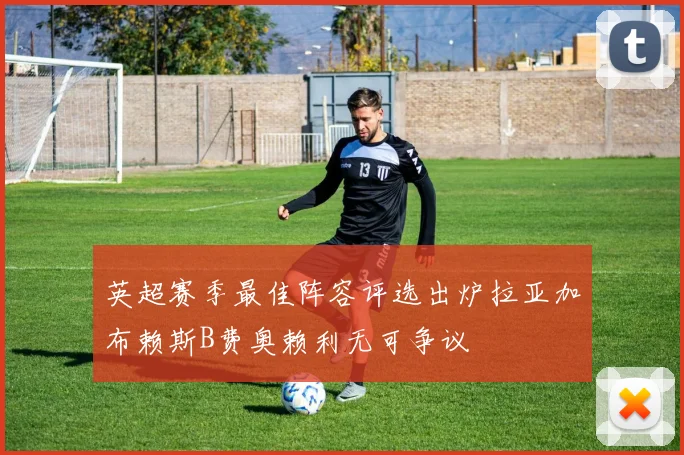 英超赛季最佳阵容评选出炉拉亚加布赖斯B费奥赖利无可争议