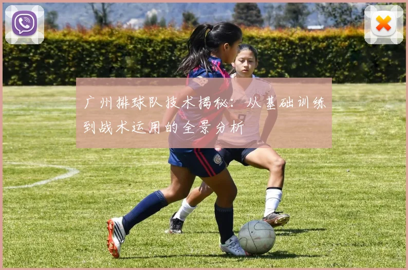 广州排球队技术揭秘：从基础训练到战术运用的全景分析