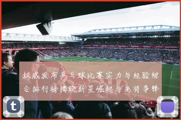 权威发布乒乓球比赛实力与经验综合排行榜揭晓新星崛起与老将争锋