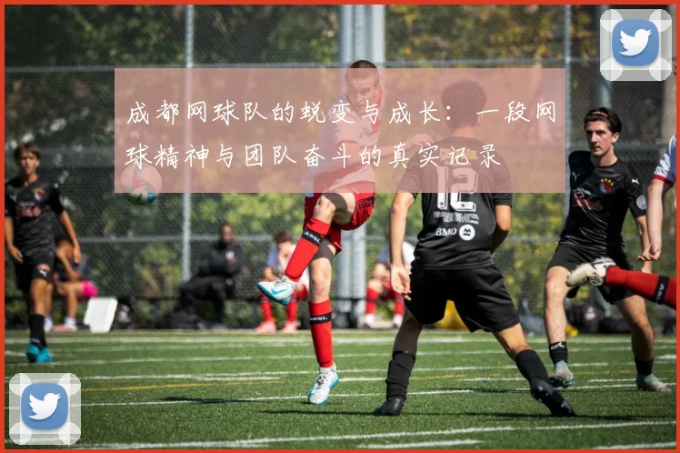 成都网球队的蜕变与成长：一段网球精神与团队奋斗的真实记录