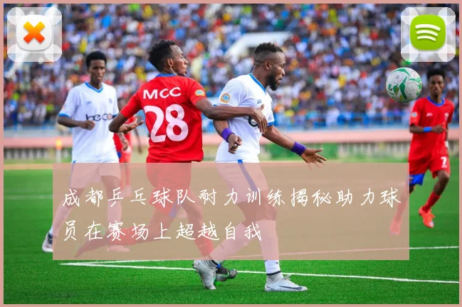 成都乒乓球队耐力训练揭秘助力球员在赛场上超越自我